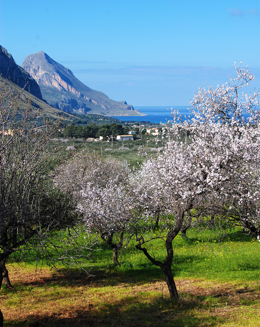Castelluzzo San Vito Lo Capo - Cala di Ponente